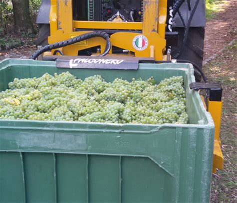 Falconero Group srl: costruzione macchine e attrezzature  