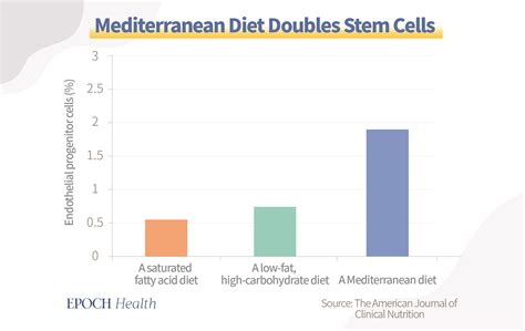 How to Increase your Stem Cells Naturally 2024