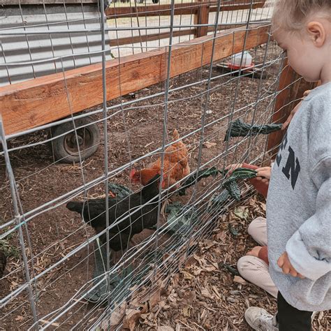 Field Trips - Coastal Roots Farm