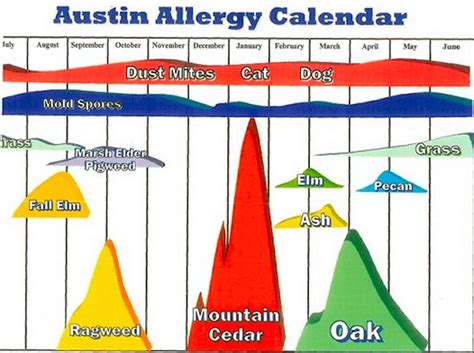 Allergy Information » House Dust » Concierge Family Doctor » Austin