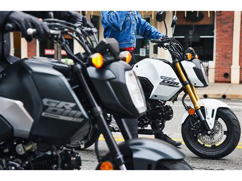 New 2025 Honda Grom SP, Columbia TN | Specs, Price, Photos | Matte ...