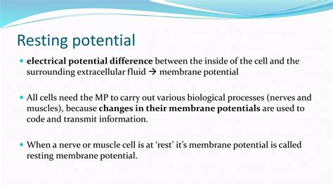 Image result for Muscle Resting Membrane Potential