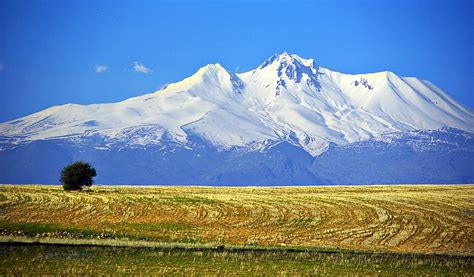 Turkey 的图像结果