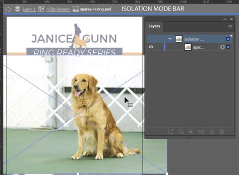 Image result for Illustrator Isolate a Path