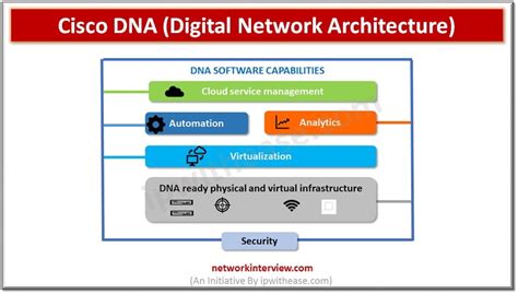 Cisco DNA Application 的图像结果