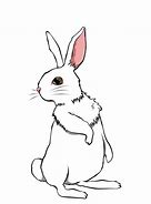 Image result for Spring Pixabay Rabbit