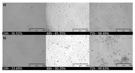 PEG Graft Polymer Carriers of Antioxidants: In Vitro Evaluation for ...