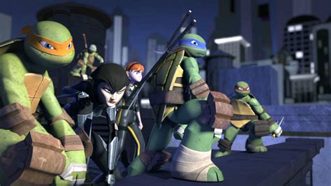 Teenage Mutant Ninja Turtles Season 5