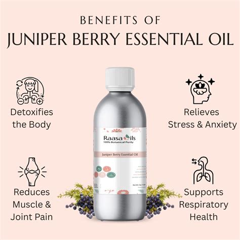 Buy Juniper Berry Essential Oil Online – Bulk Supplier & Manufacturer ...
