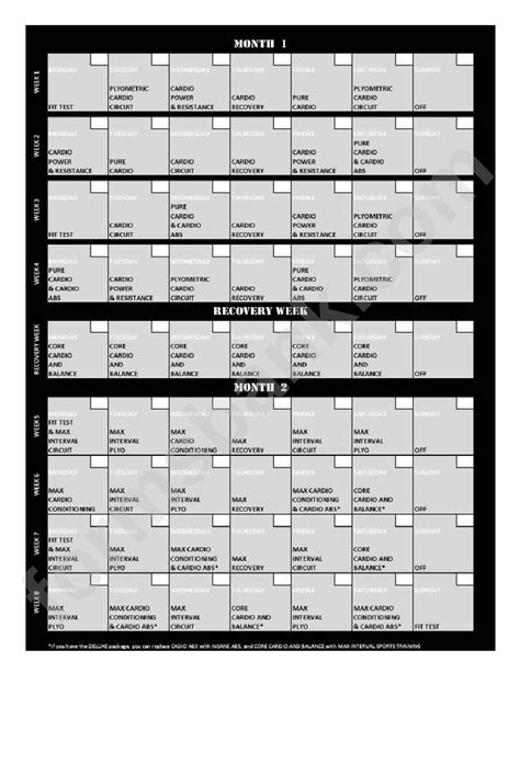 Insanity Workout Program 的图像结果