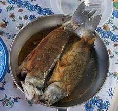 come cucinare trota escursioni nella valle gravio come cucinare la trota come cucinare trota escursioni nella valle gravio come cucinare la trota