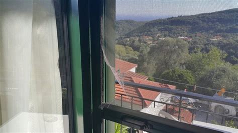 FILOXENIA SEA VIEW PARGA GREECE (Anthousa) - Apartment Reviews, Photos ...