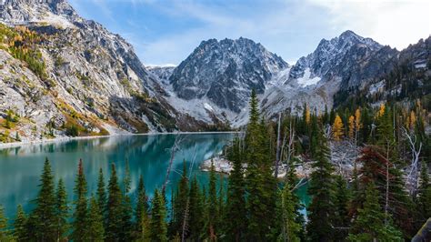 Image result for Java Grid Layout