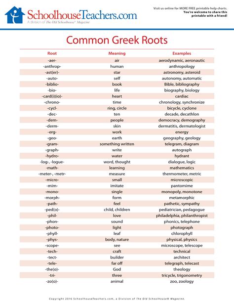 Common Latin and Greek Roots List - Fascinating Historical Writing Facts