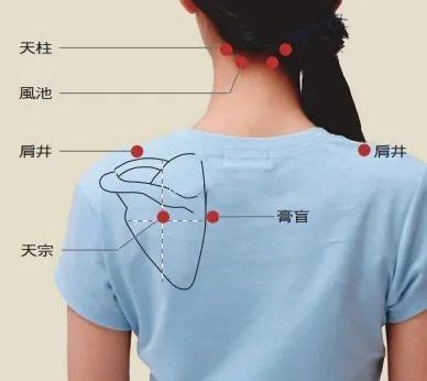 肩胛缝是乳腺的反射区，肩颈疏通很重要_肌肉