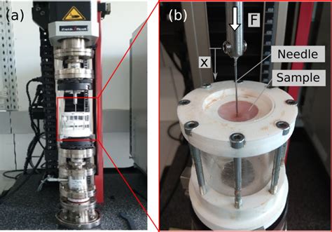 Axial Testing 的图像结果