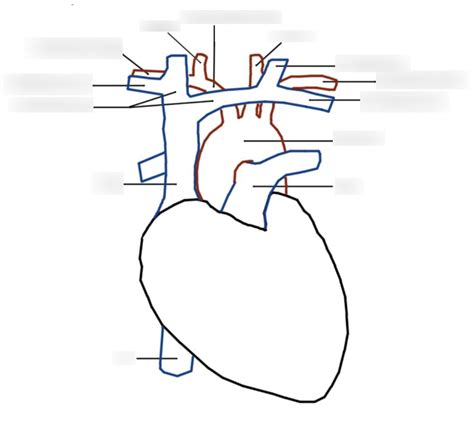 Cardiology 的图像结果