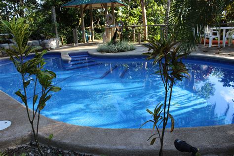 refreshing pool in the Jungle of costa rica at Villas de oros! #pool # ...