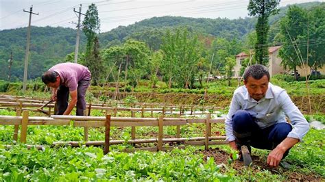 南漳:“共享菜园” 乐了游客 富了村民-荆楚网-湖北日报网