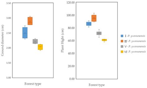 Do Mixed Pinus yunnanensis Plantations Improve Soil’s Physicochemical ...