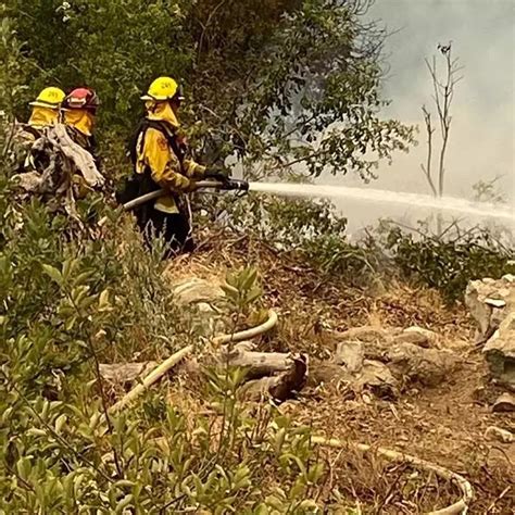 Gender Reveal Party Sparks Wildfire In California