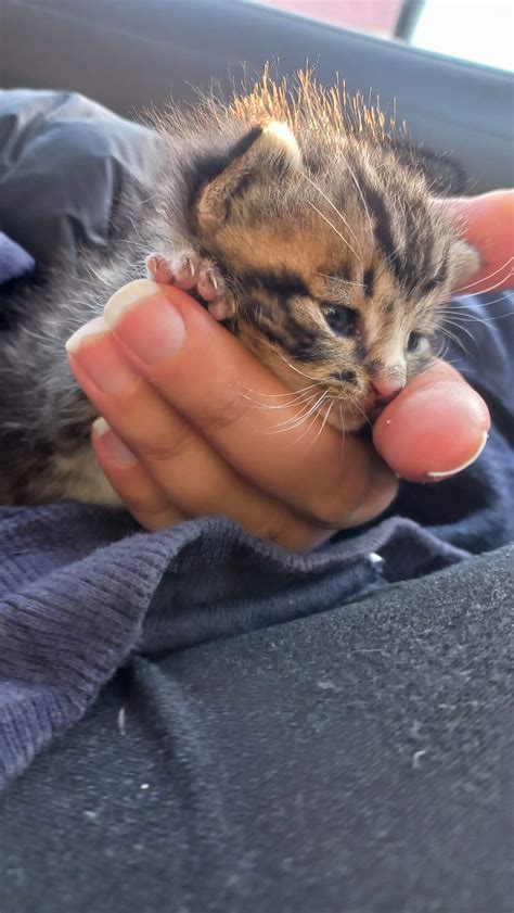 Codi is all spicy jelly beans and fuzz : r/jellybeantoes