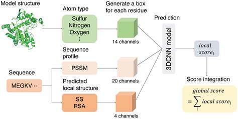 P3CMQA: Single-Model Quality Assessment Using 3DCNN with Profile-Based ...