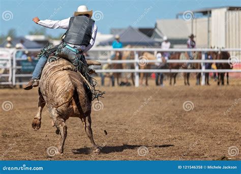 Bucking Bull Riding at a Country Rodeo Stock Photo - Image of bareback ...