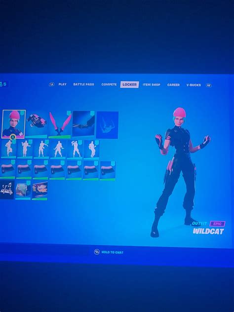 Image result for Wildcat Bundle Download Code