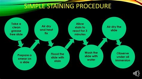 Image result for Simple Stain Procedure
