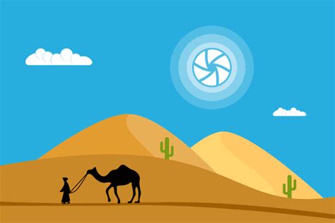 Nikon Program Mode Tutorial 的图像结果