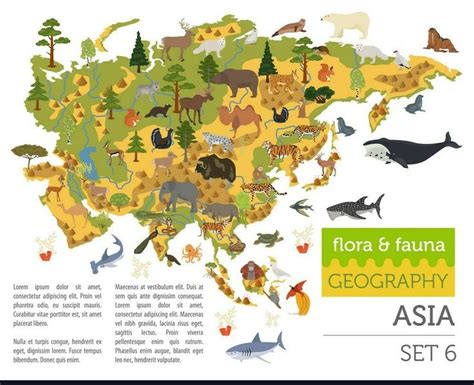 World Map of Animals 的图像结果