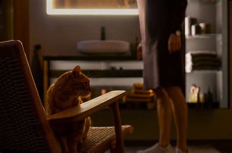 Vitrium Series: Above Counter Basin, Mirror Cabinet & More | Duravit