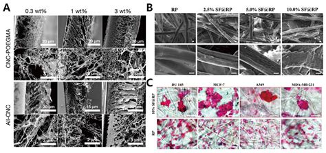 Recent Advances in Multicellular Tumor Spheroid Generation for Drug ...