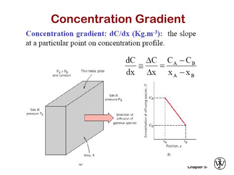 Image result for Concentration Gradient Illustration