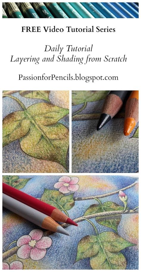 Image result for Pencil Drawing Tutorials