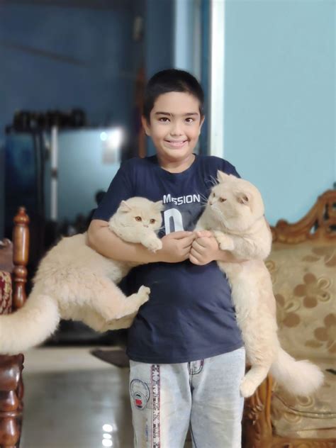 Pin by βŁΔĆҜŴĦIŦ€ on Loving Cat [Video] | Funny dancing gif, Funny cat ...