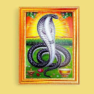 SUNINOW Goga maharaj Religious Frame Price in India - Buy SUNINOW Goga ...