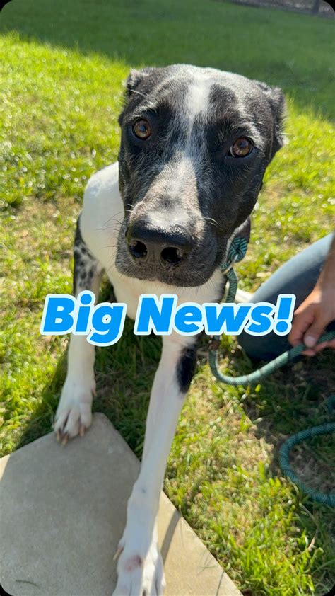 Cornerstone Home Lending (@cornerstone.home.lending) • Instagram photos ...