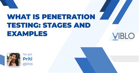 Image result for Penetration Test Examples