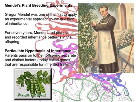 Genetics Basics 的图像结果