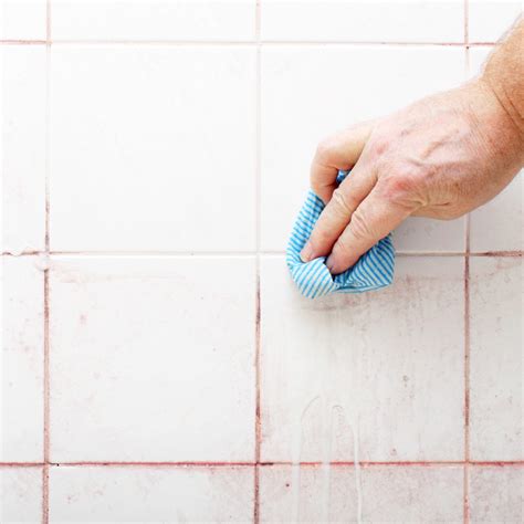 Pink Bathroom Mold What Is Pink Mold: Causes And Removal Tips