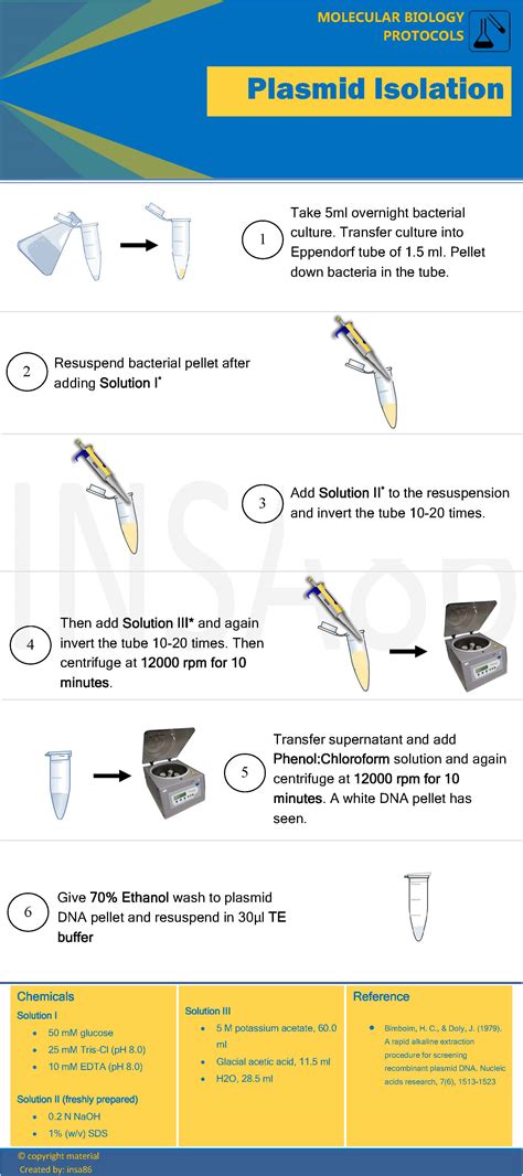 Plasmid Isolation 的图像结果