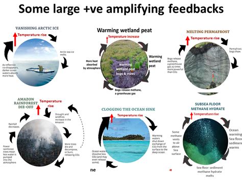 Image result for Negative Feedback Loop Global Warming