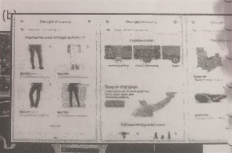 Identify the features and the domain of AI used in thema) self-driving ...