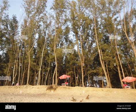 Cox's Bazar, The longest sea beach in the world Stock Photo - Alamy