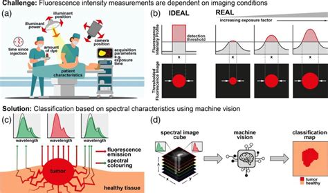 Machine Learning INR 的图像结果
