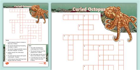 Curled Octopus Crossword Puzzle - Twinkl