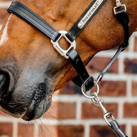 Image result for Licol Cheval