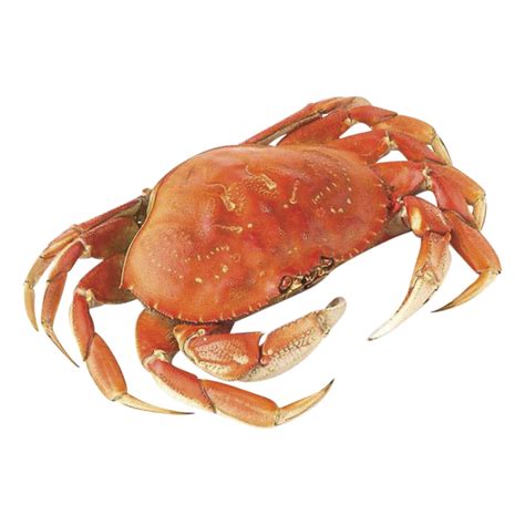 Wild-Caught Frozen Cooked Dungeness Pacific Whole Crab, Each-Main